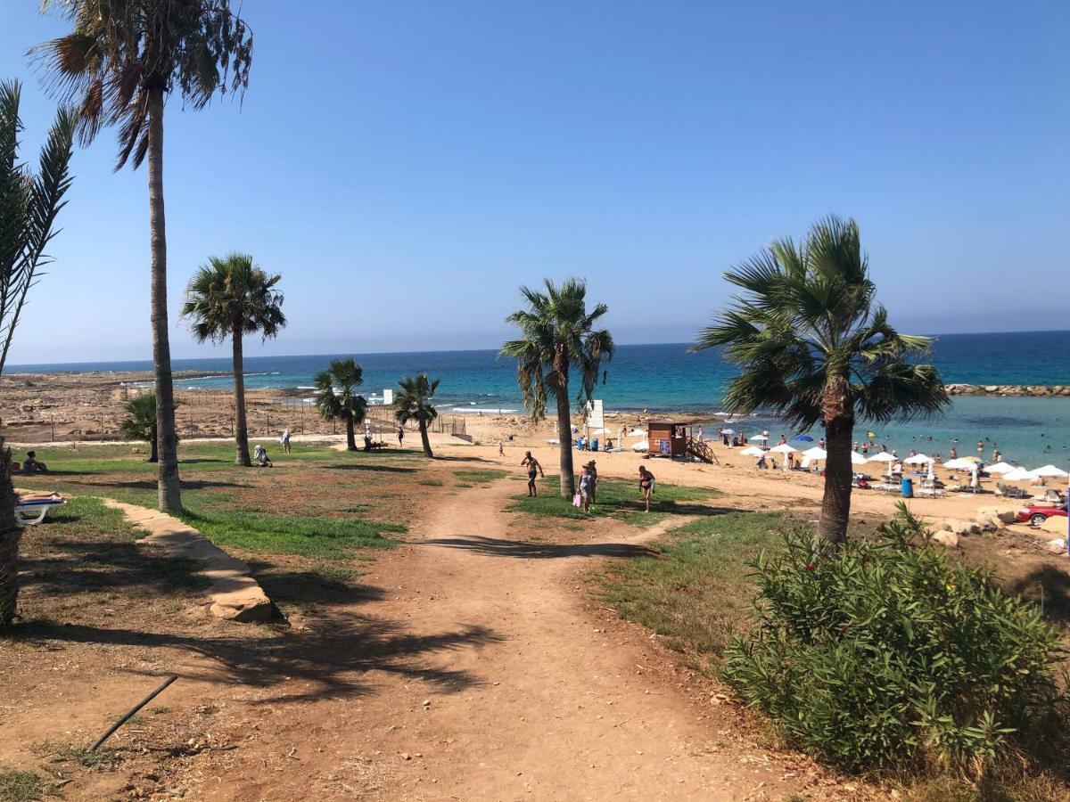 Royal Seacrest * Paphos